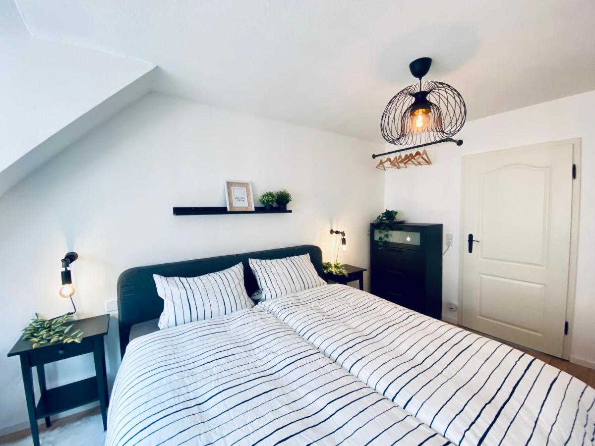 * 2Br Flat Near Karl-Heine-Kanal لبسيا المظهر الخارجي الصورة